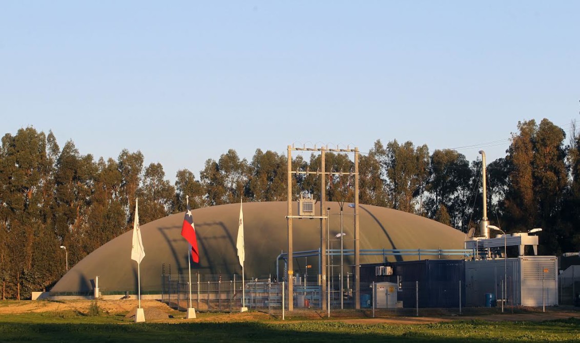 Industria porcina chilena